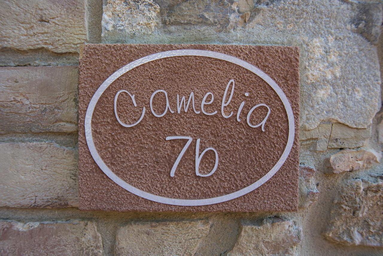 Agriturismo Le Gallozzole Монтериджони Екстериор снимка
