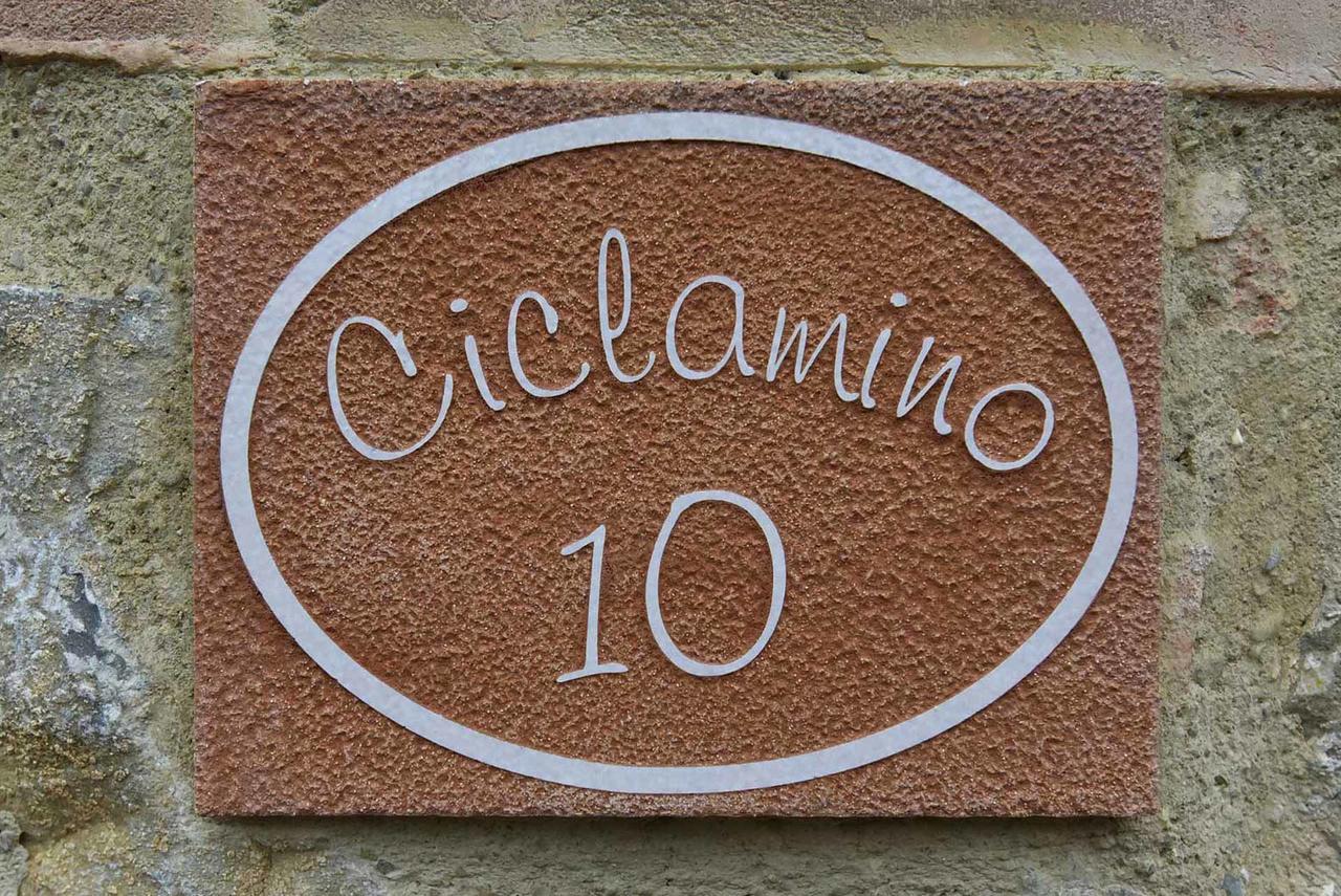 Agriturismo Le Gallozzole Монтериджони Екстериор снимка