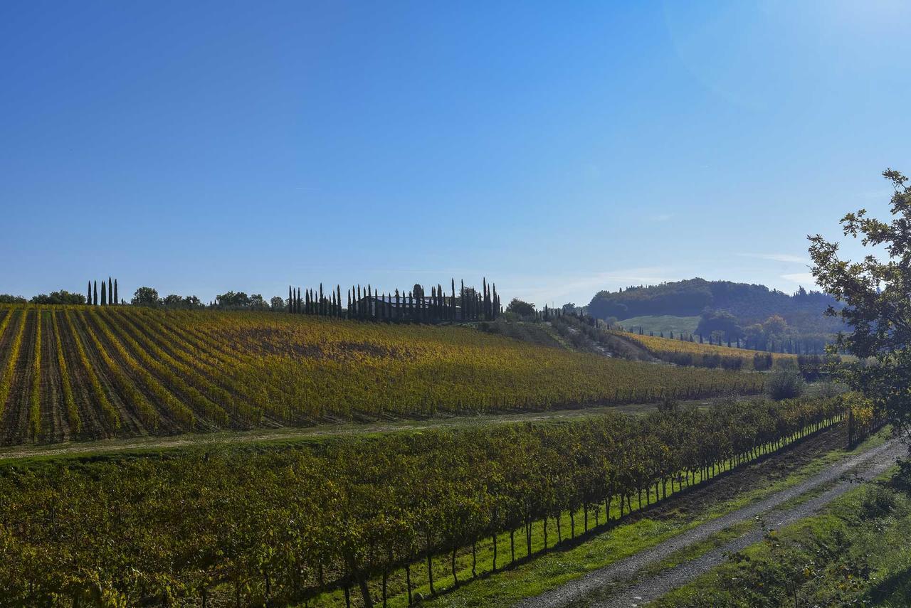 Agriturismo Le Gallozzole Монтериджони Екстериор снимка